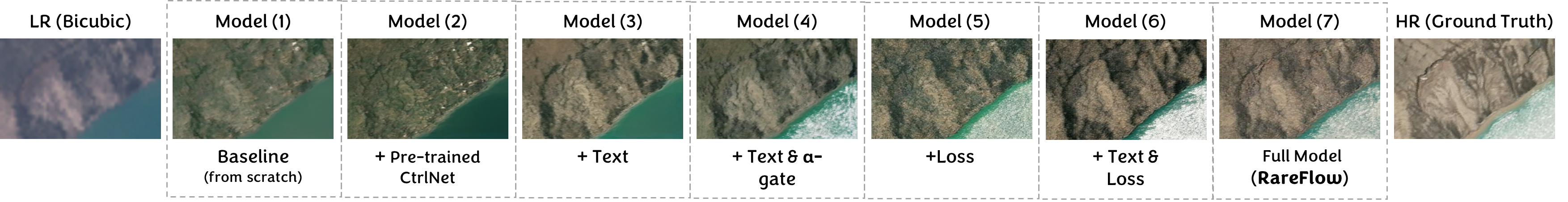 Visual comparison of RareFlow ablation variants.